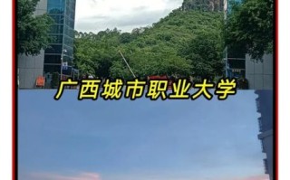 广西城市职业大学是公办还是民办_学费贵不贵
