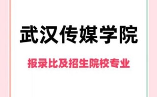 武汉传媒大学怎么样_武汉传媒大学录取分数线