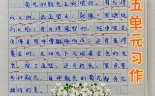 五年级上册第五单元作文怎么写_如何写介绍一种事物