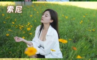 双镜头相机怎么选_拍人像还是拍风景