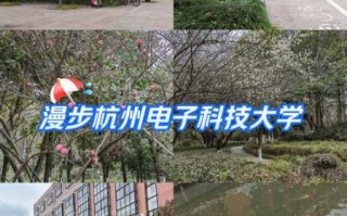 杭州电子科技大学电子信息学院怎么样_就业前景如何