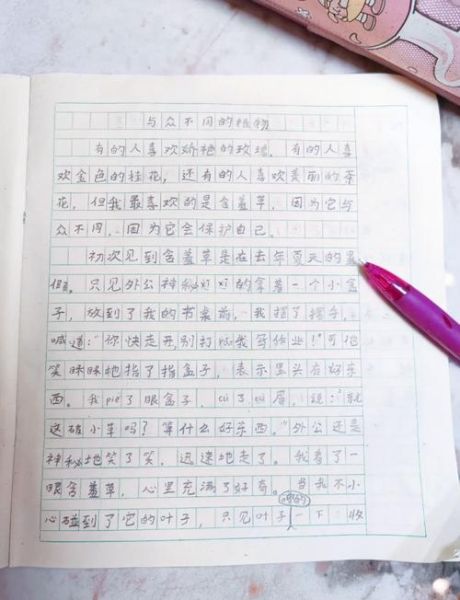 小学生作文怎么写_如何辅导孩子写作文-第2张图片-星辰妙记