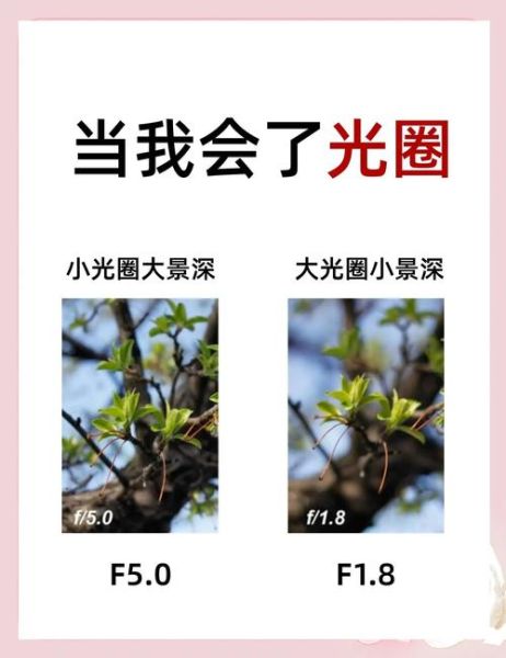 镜头光圈叶片越多越好吗_光圈叶片数对成像的影响-第3张图片-星辰妙记