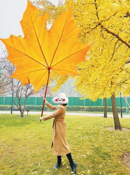 枫叶镜头适合拍什么_枫叶镜头怎么选-第1张图片-星辰妙记