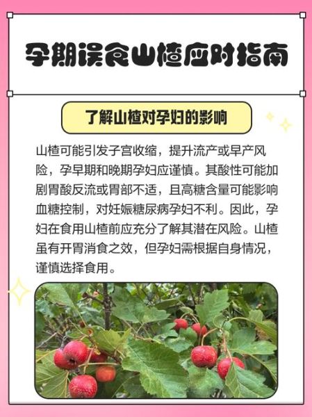 山楂孕妇能吃吗_孕期吃山楂注意事项-第1张图片-星辰妙记