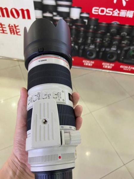 佳能小白兔镜头值得买吗_佳能小白兔镜头适合拍什么-第1张图片-星辰妙记