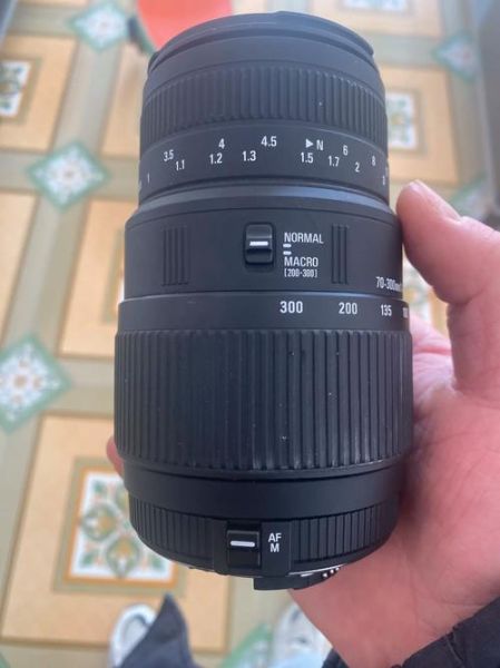 佳能70-300镜头值得买吗_佳能70-300镜头适合拍什么-第1张图片-星辰妙记 佳能70-300镜头值得买吗_佳能70-300镜头适合拍什么-第1张图片-星辰妙记