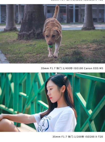 国产人像镜头哪个好_国产人像镜头推荐-第2张图片-星辰妙记