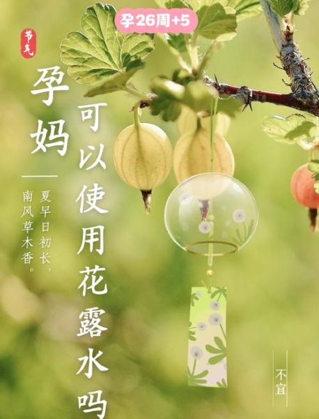 孕妇可以闻精油吗_孕妇可以闻花露水吗-第1张图片-星辰妙记