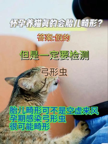 孕妇弓形虫检查方法_孕期感染筛查流程-第1张图片-星辰妙记
