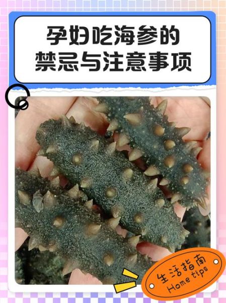 孕妇一天一个海参好吗_孕期吃海参的注意事项-第2张图片-星辰妙记