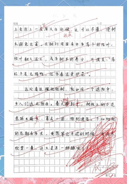 枇杷树作文怎么写_枇杷树作文写作技巧-第2张图片-星辰妙记 枇杷树作文怎么写_枇杷树作文写作技巧-第2张图片-星辰妙记