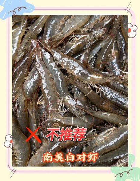 孕妇能吃基围虾吗_怀孕吃虾注意事项-第1张图片-星辰妙记