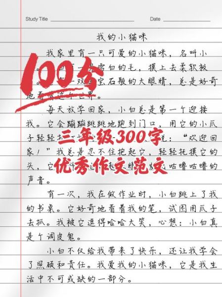 作文300字怎么写_如何提高写作效率-第1张图片-星辰妙记