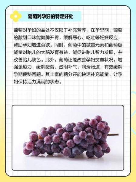 孕妇能吃葡萄吗_孕期吃葡萄的注意事项-第1张图片-星辰妙记 孕妇能吃葡萄吗_孕期吃葡萄的注意事项-第1张图片-星辰妙记