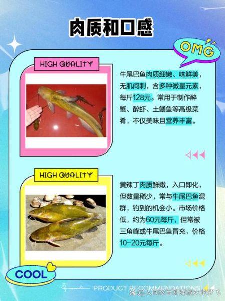 孕妇可以吃黄辣丁鱼吗_黄辣丁鱼孕妇食用禁忌-第2张图片-星辰妙记 孕妇可以吃黄辣丁鱼吗_黄辣丁鱼孕妇食用禁忌-第2张图片-星辰妙记