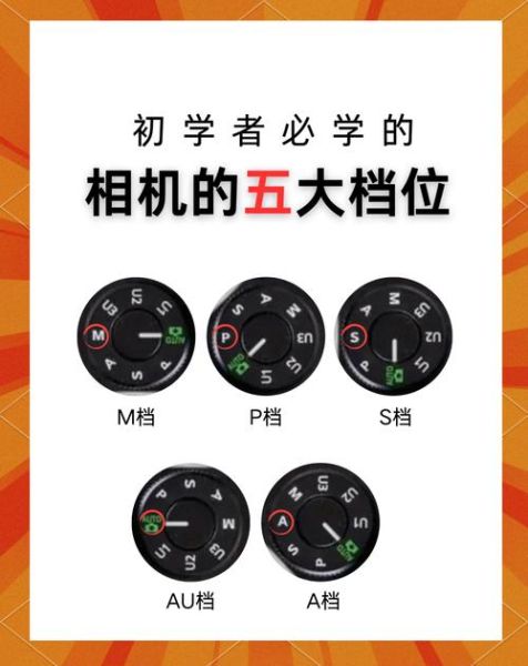 尼康镜头库怎么选_尼康镜头库哪个焦段最实用-第2张图片-星辰妙记