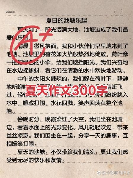 夏天作文怎么写_夏天作文300字如何扩展-第1张图片-星辰妙记 夏天作文怎么写_夏天作文300字如何扩展-第1张图片-星辰妙记