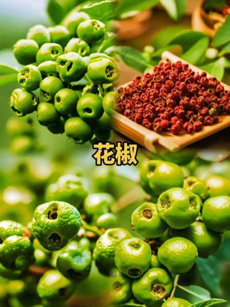 孕妇能吃花椒吗_孕期吃花椒安全吗-第2张图片-星辰妙记