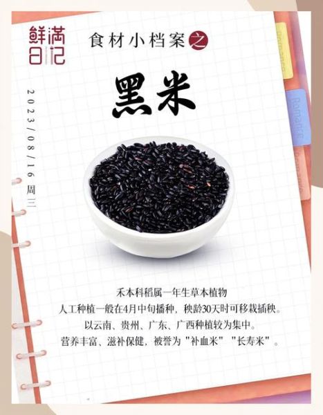 孕妇吃黑米对胎儿好吗_黑米营养价值解析-第2张图片-星辰妙记 孕妇吃黑米对胎儿好吗_黑米营养价值解析-第2张图片-星辰妙记