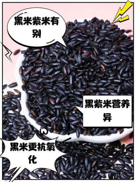 孕妇吃黑米对胎儿好吗_黑米营养价值解析-第3张图片-星辰妙记 孕妇吃黑米对胎儿好吗_黑米营养价值解析-第3张图片-星辰妙记