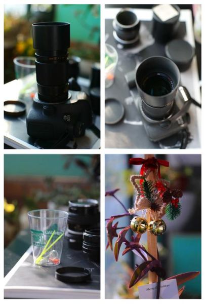 绿圈镜头是什么_绿圈镜头适合拍什么-第2张图片-星辰妙记 绿圈镜头是什么_绿圈镜头适合拍什么-第2张图片-星辰妙记