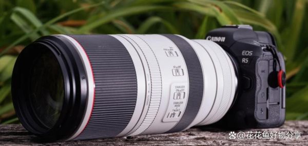 佳能RF镜头新品评测_2024值得买吗-第2张图片-星辰妙记