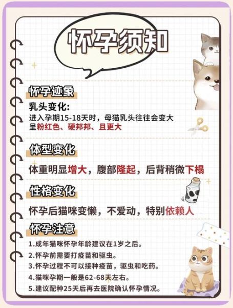 孕妇可以养猫吗_怀孕养猫注意事项-第1张图片-星辰妙记 孕妇可以养猫吗_怀孕养猫注意事项-第1张图片-星辰妙记