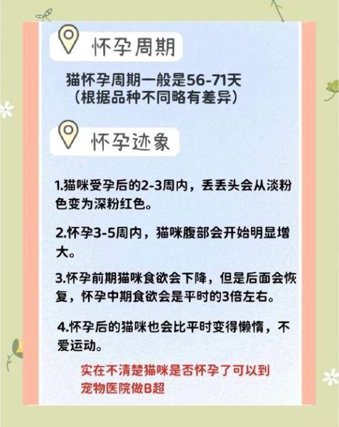 孕妇可以养猫吗_怀孕养猫注意事项-第2张图片-星辰妙记 孕妇可以养猫吗_怀孕养猫注意事项-第2张图片-星辰妙记