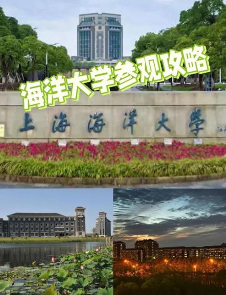 上海海洋大学地址在哪里_上海海洋大学怎么去-第1张图片-星辰妙记 上海海洋大学地址在哪里_上海海洋大学怎么去-第1张图片-星辰妙记