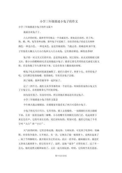 小兔历险记作文怎么写_小兔历险记作文写作技巧-第3张图片-星辰妙记