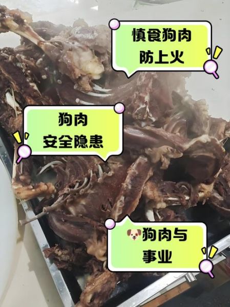 孕妇能吃狗肉吗_孕期饮食禁忌-第1张图片-星辰妙记 孕妇能吃狗肉吗_孕期饮食禁忌-第1张图片-星辰妙记
