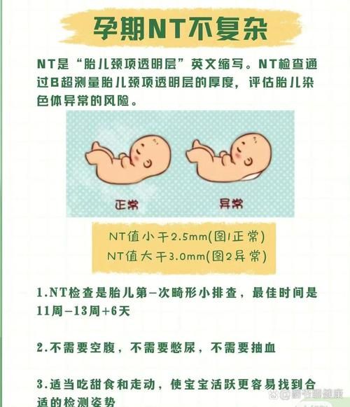 nt检查什么时候做_nt检查正常值是多少-第2张图片-星辰妙记
