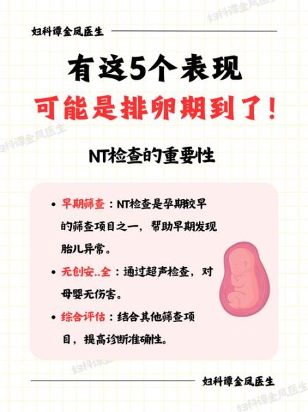 nt检查什么时候做_nt检查正常值是多少-第1张图片-星辰妙记