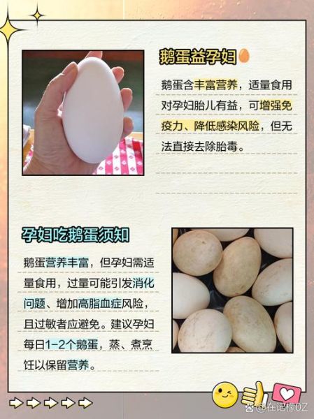 孕妇几天吃一个鹅蛋好_鹅蛋对胎儿有什么好处-第2张图片-星辰妙记