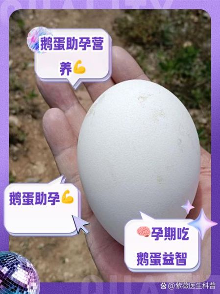 孕妇几天吃一个鹅蛋好_鹅蛋对胎儿有什么好处-第3张图片-星辰妙记