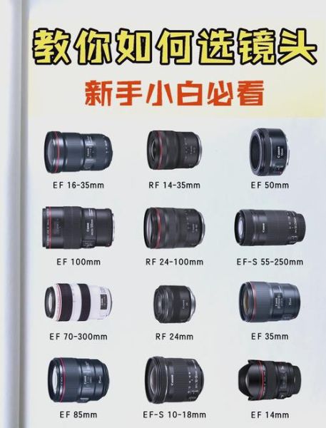 如何挑选高性价比镜头_镜头评测看什么参数-第2张图片-星辰妙记 如何挑选高性价比镜头_镜头评测看什么参数-第2张图片-星辰妙记