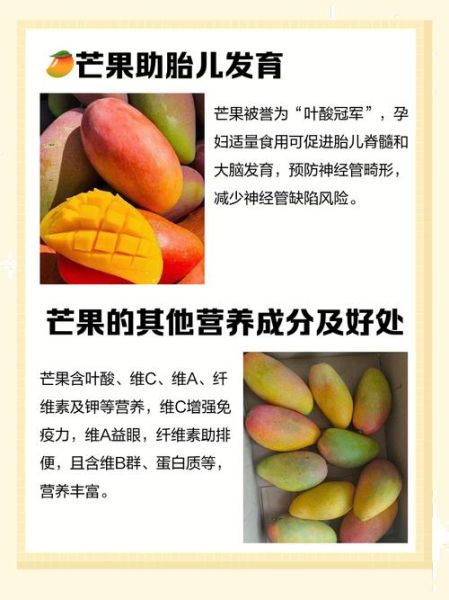 孕妇可以吃芒果吗_孕妇吃芒果对胎儿好吗-第2张图片-星辰妙记 孕妇可以吃芒果吗_孕妇吃芒果对胎儿好吗-第2张图片-星辰妙记