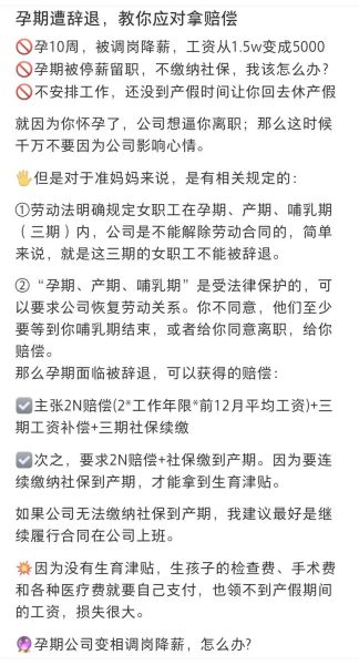 辞退孕妇怎么赔偿_孕妇被辞退赔偿标准-第3张图片-星辰妙记