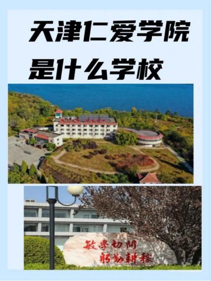 天津大学仁爱学院是几本_天津大学仁爱学院属于几本-第1张图片-星辰妙记