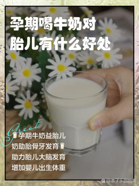 孕妇天天喝牛奶好吗_孕期每天喝牛奶的利弊-第1张图片-星辰妙记