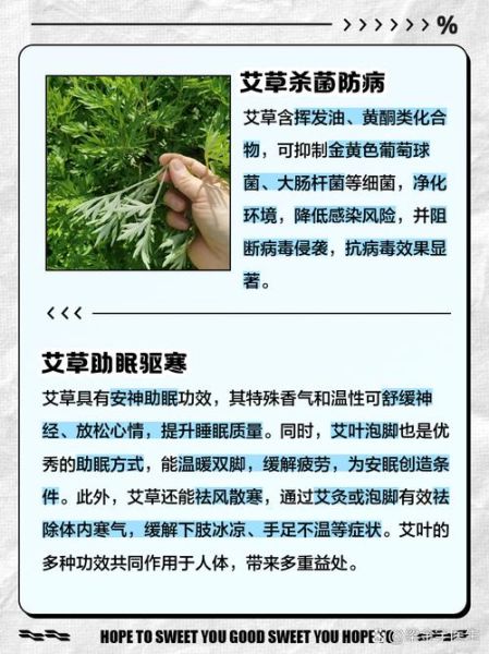 孕妇能闻艾草吗_艾草对孕妇有影响吗-第2张图片-星辰妙记