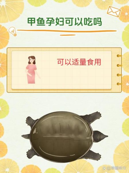 孕妇甲鱼能吃吗_怀孕吃甲鱼安全吗-第1张图片-星辰妙记