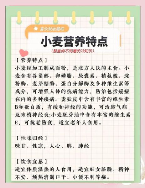 孕妇可以吃小麦吗_孕期吃小麦的注意事项-第1张图片-星辰妙记