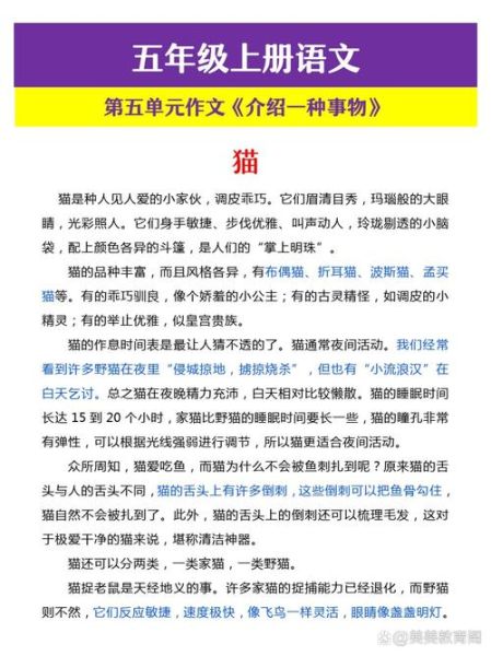 如何描写事物_描写事物作文怎么写-第2张图片-星辰妙记 如何描写事物_描写事物作文怎么写-第2张图片-星辰妙记