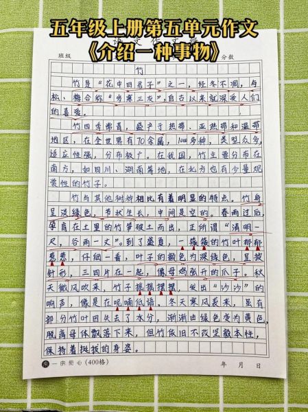 如何描写事物_描写事物作文怎么写-第3张图片-星辰妙记 如何描写事物_描写事物作文怎么写-第3张图片-星辰妙记