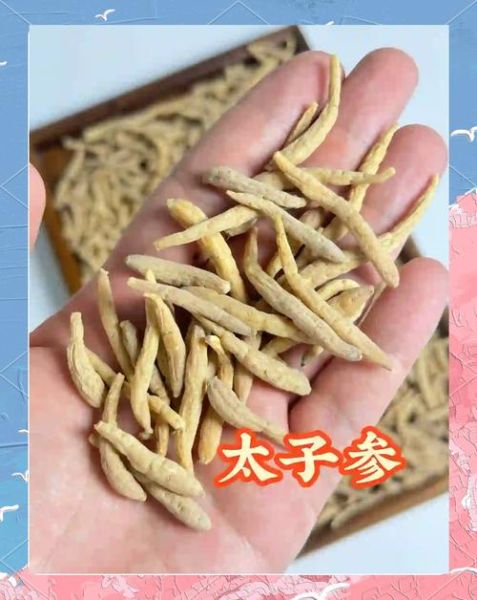 太子参孕妇可以吃吗_太子参对胎儿有影响吗-第3张图片-星辰妙记