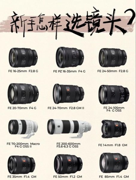 索尼镜头怎么选_索尼镜头推荐-第2张图片-星辰妙记 索尼镜头怎么选_索尼镜头推荐-第2张图片-星辰妙记