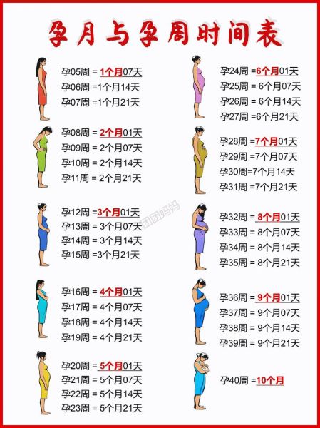 孕妇周期怎么计算_怀孕各阶段注意事项-第3张图片-星辰妙记