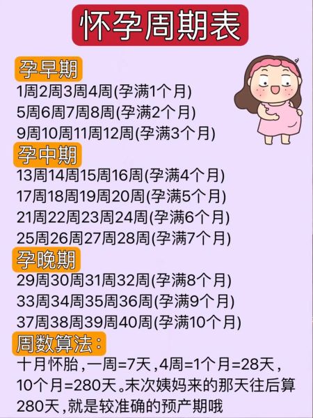 孕妇周期怎么计算_怀孕各阶段注意事项-第2张图片-星辰妙记